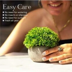 Piante Finte, Set Di Piante Finte Per Interni, 3 Mini Piante Multicolori Realistiche In Vaso, Piantine Finte Decorative In Confezione Regalo E Mobili -Negozio Piante artificiali economico 74098089 4