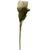 RAMO PROTEA H68 BIANCA 1 RAMO PROTEA H68 BIANCA -Negozio Piante artificiali economico 74628076 1