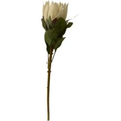 RAMO PROTEA H68 BIANCA