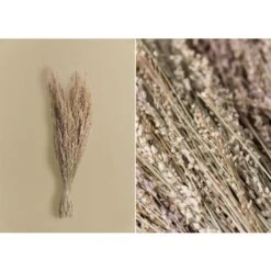 SKLUM Ramo Decorativo Ainala Colori Naturali -Negozio Piante artificiali economico 77183386 3