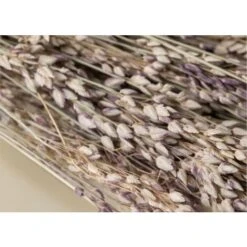 SKLUM Ramo Decorativo Ainala Colori Naturali -Negozio Piante artificiali economico 77183386 4