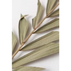 SKLUM Confezione Da 10 Rami Secchi Decorativi Sarat Verde Bambù -Negozio Piante artificiali economico 77183391 4