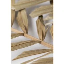 SKLUM Confezione Da 10 Rami Secchi Decorativi Sarat Verde Bambù -Negozio Piante artificiali economico 77183391 5