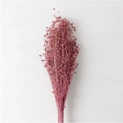 SKLUM Mazzo Di Fiori Secchi Decorativi Bairad Prugna Rosa -Negozio Piante artificiali economico 77183408 3