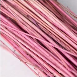 SKLUM Mazzo Di Fiori Secchi Decorativi Bairad Prugna Rosa -Negozio Piante artificiali economico 77183408 4