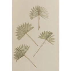 SKLUM Confezione Da 4 Rami Secchi Decorativi Urpek Verde Bambù -Negozio Piante artificiali economico 77183425 3