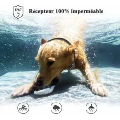 Doppio Collare Da Addestramento Per Cani Ricaricabile, Telecomando Da 1000 M, Blocco Pulsanti E Impermeabile IP67, Collare Elettrico Con Modalità Vibrazione, Shock E Suono - 2 Pezzi (grigio) -Negozio Piante artificiali economico 78584586 5