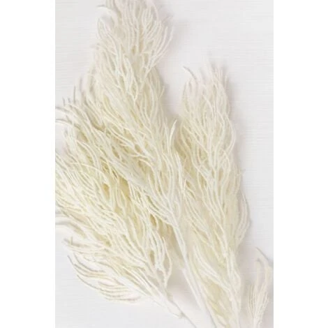 SKLUM Rami Artificiali Ramis Bianco Antico 6 SKLUM Rami Artificiali Ramis Bianco Antico - immagine 4