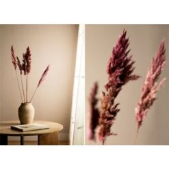 SKLUM Confezione Da 5 Rami Secchi Decorativi Dagrai Rosa Malva Pallido -Negozio Piante artificiali economico 79489503 2