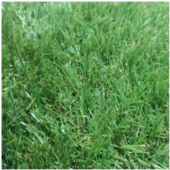 Prato Sintetico Composizione 100% Polipropilene Spessore 20 MmMisurare 1x2,5m