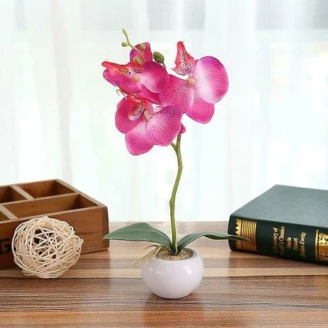 Pianta Di Simulazione Piccolo Vaso Rotondo Phalaenopsis Bonsai Fiore Di Simulazione Ornamenti Di Fiori Di Seta D 3 Pianta Di Simulazione Piccolo Vaso Rotondo Phalaenopsis Bonsai Fiore Di Simulazione Ornamenti Di Fiori Di Seta D
