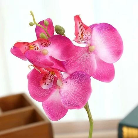 Pianta Di Simulazione Piccolo Vaso Rotondo Phalaenopsis Bonsai Fiore Di Simulazione Ornamenti Di Fiori Di Seta D 4 Pianta Di Simulazione Piccolo Vaso Rotondo Phalaenopsis Bonsai Fiore Di Simulazione Ornamenti Di Fiori Di Seta D - immagine 2