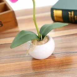 Pianta Di Simulazione Piccolo Vaso Rotondo Phalaenopsis Bonsai Fiore Di Simulazione Ornamenti Di Fiori Di Seta D 7 Pianta Di Simulazione Piccolo Vaso Rotondo Phalaenopsis Bonsai Fiore Di Simulazione Ornamenti Di Fiori Di Seta D -Negozio Piante artificiali economico 81290361 3