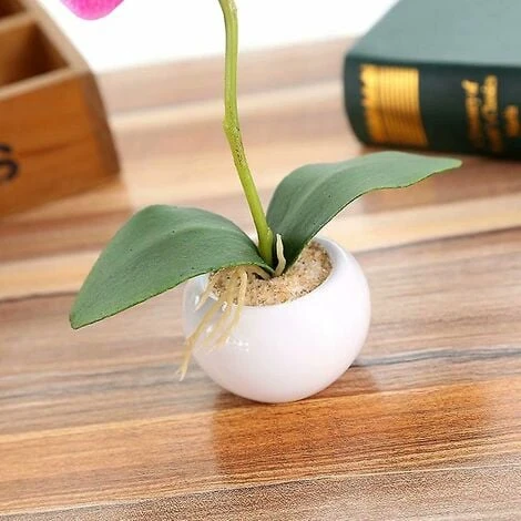 Pianta Di Simulazione Piccolo Vaso Rotondo Phalaenopsis Bonsai Fiore Di Simulazione Ornamenti Di Fiori Di Seta D 5 Pianta Di Simulazione Piccolo Vaso Rotondo Phalaenopsis Bonsai Fiore Di Simulazione Ornamenti Di Fiori Di Seta D - immagine 3