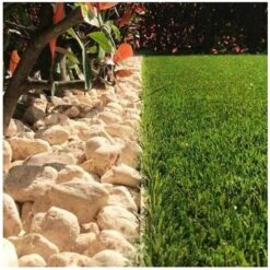 CAMPIONE PRATO SINTETICO Manto Erboso Erba GIARDINO TAPPETO 30 MM 30 Cm X 30 Cm -Negozio Piante artificiali economico 82868912 4