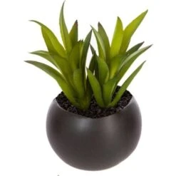 Impianto Di Grasso Magnetico D6 - Nero C - Atmosphera Créateur D'intérieur -Negozio Piante artificiali economico 83778801 3