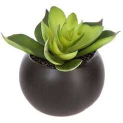 Impianto Di Grasso Magnetico D6 - Nero C - Atmosphera Créateur D'intérieur -Negozio Piante artificiali economico 83778801 4