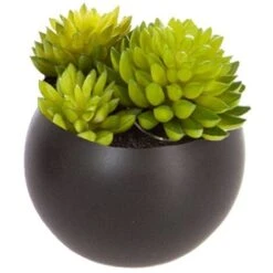 Impianto Di Grasso Magnetico D6 - Nero C - Atmosphera Créateur D'intérieur -Negozio Piante artificiali economico 83778801 5