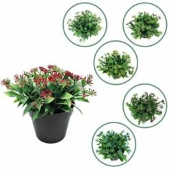 Pianta Artificiale Fiore Artificiale Piccolo Legno Di Sandalo Colorazione Rossa Vaso Bonsai Pianta Di Simulazione Fiore Di Alga D'Acqua Decorazione Domestica Bonsai Simulazione (Blu) -Negozio Piante artificiali economico 85900977 4