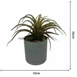 Pianta Artificiale Simulazione Di Fiori Artificiali Pianta Grassa Fresia Pianta In Vaso Simulazione Interna Fiore Decorazione Della Casa Bonsai Ornamenti Pianta Verde Pianta Di Simulazione (Marrone)