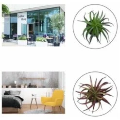 Pianta Artificiale Simulazione Di Fiori Artificiali Pianta Grassa Fresia Pianta In Vaso Simulazione Interna Fiore Decorazione Della Casa Bonsai Ornamenti Pianta Verde Pianta Di Simulazione (Marrone) -Negozio Piante artificiali economico 85904990 5