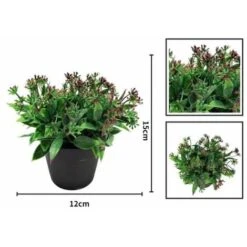 Pianta Artificiale Fiore Artificiale Piccolo Legno Di Sandalo Colorazione Rossa Vaso Bonsai Pianta Di Simulazione Fiore Di Alga D'acqua Decorazione Domestica Bonsai Simulazione (Colore Loto) -Negozio Piante artificiali economico 85905185 2