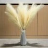 Erba Della Pampas Artificiale Decorative, 3 Set 110cm Erba Di Pampa Finta Grandi Alte Essiccata Fiori Boho Beige Piume, Naturale Secchi Per Decorazioni Natale Casa Nozze Interno