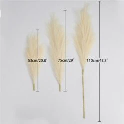 Erba Della Pampas Artificiale Decorative, 3 Set 110cm Erba Di Pampa Finta Grandi Alte Essiccata Fiori Boho Beige Piume, Naturale Secchi Per Decorazioni Natale Casa Nozze Interno -Negozio Piante artificiali economico 87105749 4