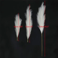 3 Set Erba Della Pampas Artificiale Decorative: 110cm Erba Di Pampa Finta Grandi Alte Essiccata Fiori Boho Bianco Piume Naturale Secchi Per Decorazioni Natale Casa Nozze Interno -Negozio Piante artificiali economico 87105751 4