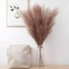 Erba Della Pampas Artificiale Decorative: 3 Set 110cm Erba Di Pampa Finta Grandi Alte Essiccata Fiori Boho Tortora Colore Piume, Naturale Secchi Per Decorazioni Natale Casa Nozze Interno -Negozio Piante artificiali economico 87105761 1