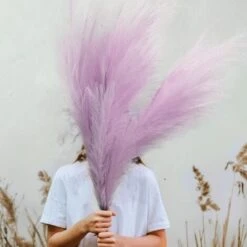 3 Pezzi Erba Della Pampas Secca Decorative, 110 Cm Pampas Alte Piume Decorative Per Vaso, Boho Viola Colore, Per Decorazioni Natale Interno Casa Nozze -Negozio Piante artificiali economico 87878341 4