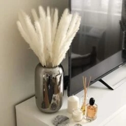 LITZEE30 Pz Erba Di Pampa, Erba Di Pampa Naturale Erba Di Pampa Essiccata Erba Phragmites Mazzo Di Fiori Secchi Decorazione Della Casa -Negozio Piante artificiali economico 88936471 2