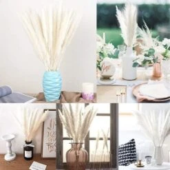 LITZEE30 Pz Erba Di Pampa, Erba Di Pampa Naturale Erba Di Pampa Essiccata Erba Phragmites Mazzo Di Fiori Secchi Decorazione Della Casa -Negozio Piante artificiali economico 88936471 3