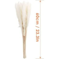 LITZEE30 Pz Erba Di Pampa, Erba Di Pampa Naturale Erba Di Pampa Essiccata Erba Phragmites Mazzo Di Fiori Secchi Decorazione Della Casa -Negozio Piante artificiali economico 88936471 5