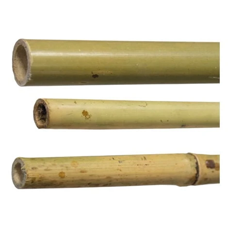 CANNE BAMBë H210CM DIAM.24/26MM 3 CANNE BAMBë H210CM DIAM.24/26MM