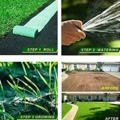 Rotolo Di Tappetino Per Semi Di Erba, Tappetino Biodegradabile Per La Coltivazione Dell'erba, Tappetino Per Semi Di Erba Fertilizzante Giardino Picnic Giardinaggio Tappetino Per Piantare Prato 20 × 10 9 Rotolo Di Tappetino Per Semi Di Erba, Tappetino Biodegradabile Per La Coltivazione Dell'erba, Tappetino Per Semi Di Erba Fertilizzante Giardino Picnic Giardinaggio Tappetino Per Piantare Prato 20 × 10 -Negozio Piante artificiali economico 91725293 3