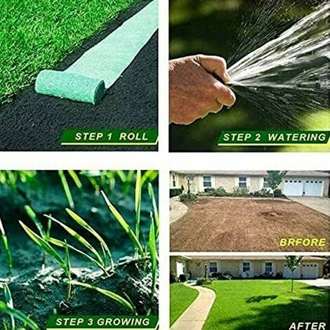 Rotolo Di Tappetino Per Semi Di Erba, Tappetino Biodegradabile Per La Coltivazione Dell'erba, Tappetino Per Semi Di Erba Fertilizzante Giardino Picnic Giardinaggio Tappetino Per Piantare Prato 20 × 10 5 Rotolo Di Tappetino Per Semi Di Erba, Tappetino Biodegradabile Per La Coltivazione Dell'erba, Tappetino Per Semi Di Erba Fertilizzante Giardino Picnic Giardinaggio Tappetino Per Piantare Prato 20 × 10 - immagine 3