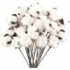 Confezione Da 40 Fiori Di Cotone Naturale Fiori Secchi Stelo Di Cotone Fiore Naturale Rami Di Cotone Finto Piante Finte Decorazione Domestica -Negozio Piante artificiali economico 93244914 1