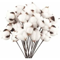 Confezione Da 40 Fiori Di Cotone Naturale Fiori Secchi Stelo Di Cotone Fiore Naturale Rami Di Cotone Finto Piante Finte Decorazione Domestica