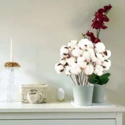 Confezione Da 40 Fiori Di Cotone Naturale Fiori Secchi Stelo Di Cotone Fiore Naturale Rami Di Cotone Finto Piante Finte Decorazione Domestica 9 Confezione Da 40 Fiori Di Cotone Naturale Fiori Secchi Stelo Di Cotone Fiore Naturale Rami Di Cotone Finto Piante Finte Decorazione Domestica -Negozio Piante artificiali economico 93244914 3