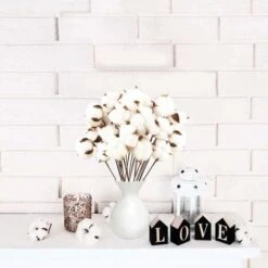 Confezione Da 40 Fiori Di Cotone Naturale Fiori Secchi Stelo Di Cotone Fiore Naturale Rami Di Cotone Finto Piante Finte Decorazione Domestica 10 Confezione Da 40 Fiori Di Cotone Naturale Fiori Secchi Stelo Di Cotone Fiore Naturale Rami Di Cotone Finto Piante Finte Decorazione Domestica -Negozio Piante artificiali economico 93244914 4