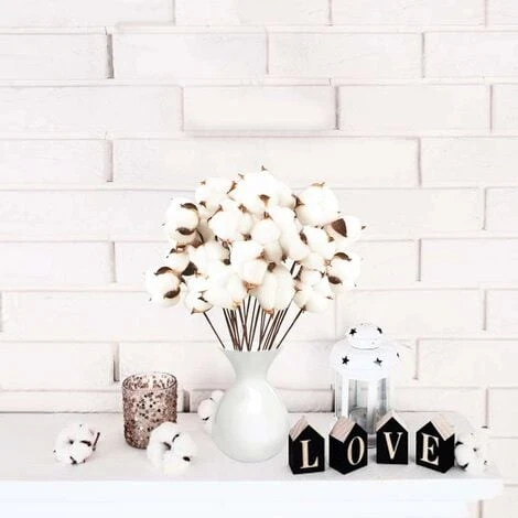 Confezione Da 40 Fiori Di Cotone Naturale Fiori Secchi Stelo Di Cotone Fiore Naturale Rami Di Cotone Finto Piante Finte Decorazione Domestica 6 Confezione Da 40 Fiori Di Cotone Naturale Fiori Secchi Stelo Di Cotone Fiore Naturale Rami Di Cotone Finto Piante Finte Decorazione Domestica - immagine 4