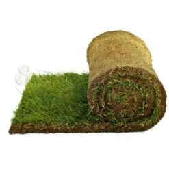 Prato Pronto A Rotoli In Erba Naturale By PratoErboso - 5 Mq