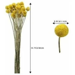 Negozio Piante artificiali economico -Negozio Piante artificiali economico 96195796 2