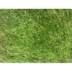 Prato Sintentico Per Giardino Da 20 Mm - 2x5 Mt - 3 Toni -Negozio Piante artificiali economico 96265431 3