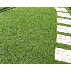 Evergreen Prato Sintetico Artificiale Drenante Divina Garden 30mm 1x25mt -Negozio Piante artificiali economico 96272660 3