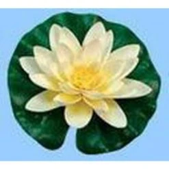 3 Settembre Seta Giglio Bianco Gocce Aguaset Ubbink